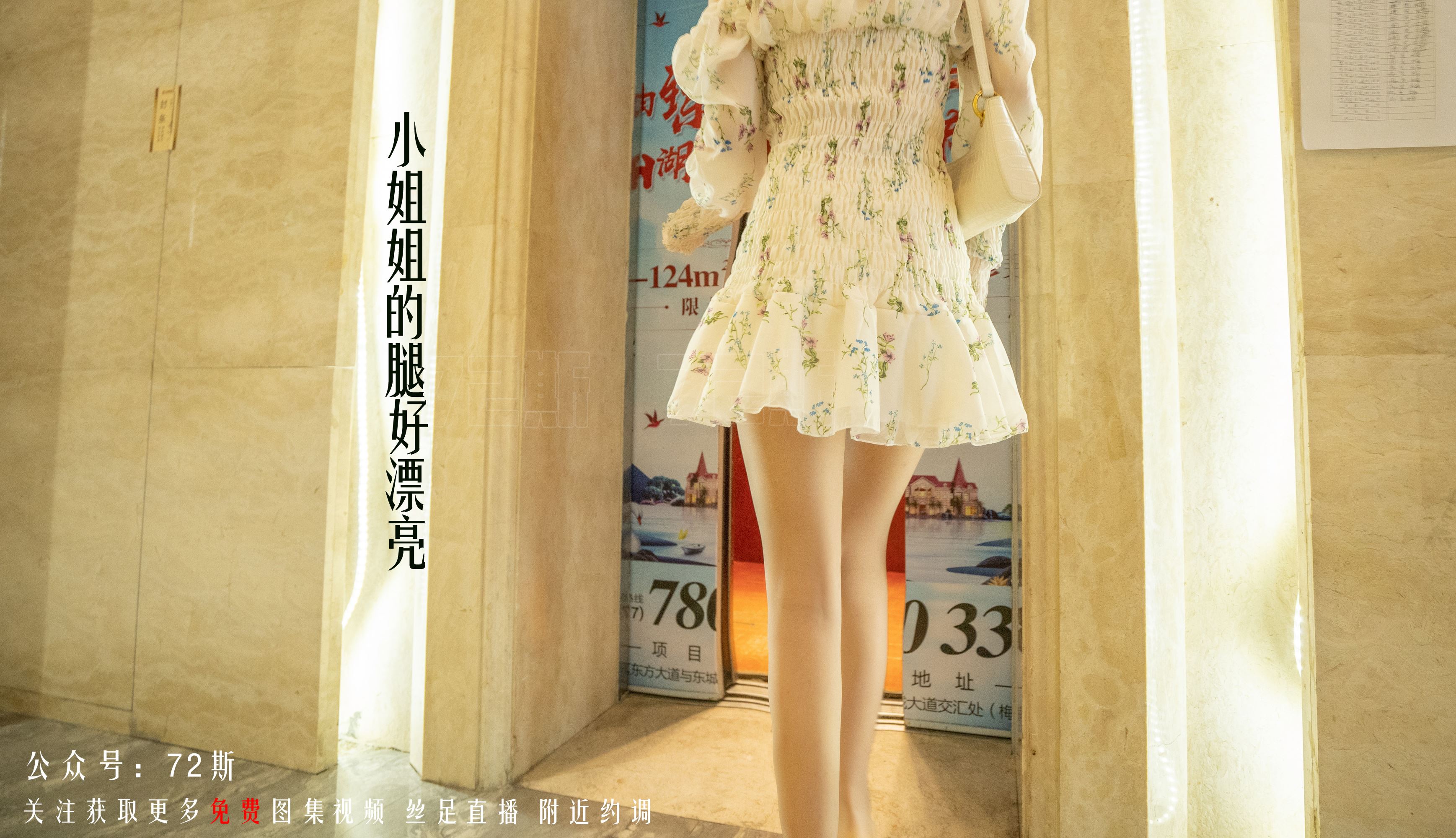 72斯图集 No.01 我的新室友1